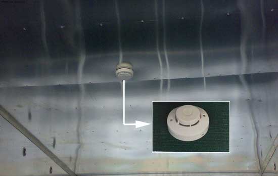 �x�ӸП����(z��i)̽�y��